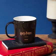 Harry Potter Ceramic Cup (490ML)