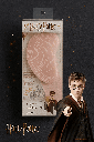Harry Potter Badge Detangling Brush