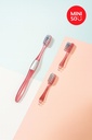 Toothbrush with Replaceable Heads (1 Handle & 3 Heads), Random Colors