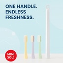 Toothbrush with Replaceable Heads (1 Handle & 3 Heads), Random Colors