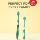 Toothbrush with Replaceable Heads (1 Handle & 3 Heads), Random Colors