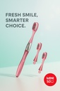 Toothbrush with Replaceable Heads (1 Handle & 3 Heads), Random Colors