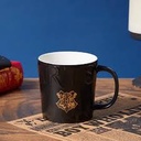 Harry Potter Ceramic Cup (490ML)